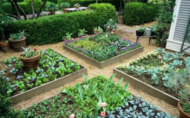 buy ecommerce website in lawn industry