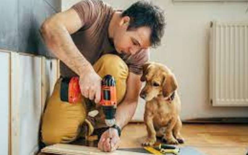 buy website business pest control industry