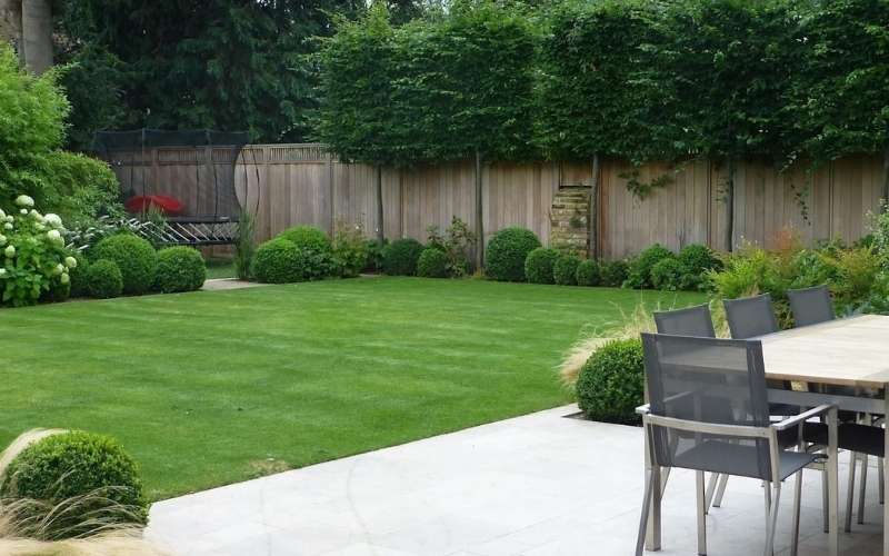 buy website in lawn niche