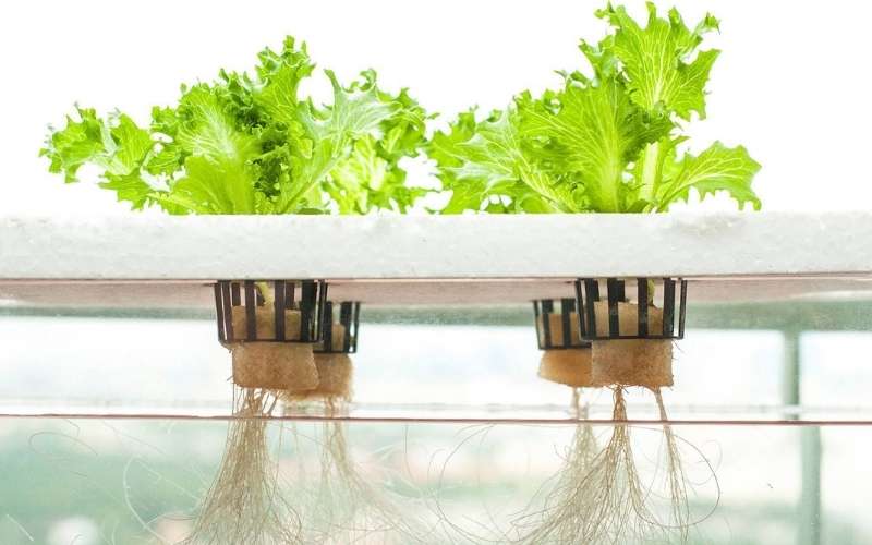 hydroponics niche ecommerce website for sale